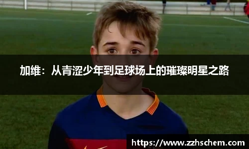 快盈VIII