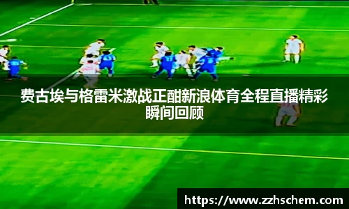 费古埃与格雷米激战正酣新浪体育全程直播精彩瞬间回顾